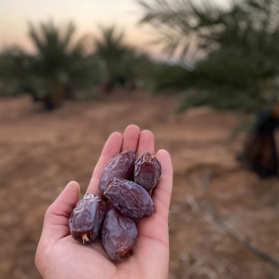 Quirky Medjool Dates